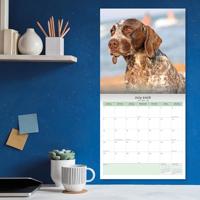 Duitse Staande Kalender 2026 - thumbnail