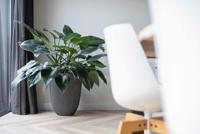 Capi nature groove nl elegant laag bloempot 34x46 cm zwart, goud - thumbnail