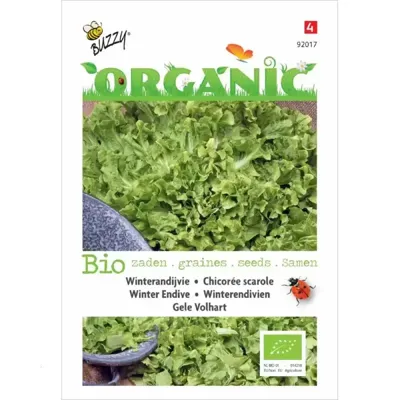 Zaden Organic Andijvie Gele Volhart (BIO) Buzzy - Buzzy Zaden Organic Andijvie Gele Volhart (BIO) Buzzy - Buzzy
