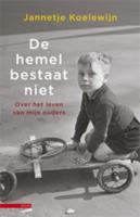 De hemel bestaat niet - Jannetje Koelewijn - ebook - thumbnail