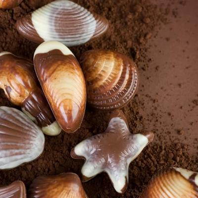 Chocola hamlet zeevruchten