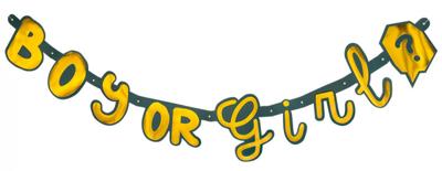 Letterslinger Gender Reveal 'Boy or Girl' Goud/Groen (1,3m)