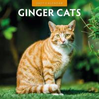 Rode Katten Kalender 2027 - thumbnail