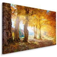Schilderij - Herfstbos, bruin/geel, 4 maten, premium print - thumbnail
