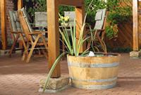 Oase Filral UVC 3000 Oase - Oase - thumbnail