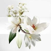 Hermès - Hermes Un Jardin Sur La Lagune Eau de toilette Spray 100 ml - thumbnail