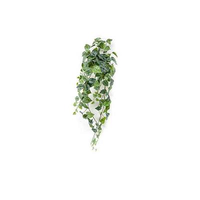 Kunstplant scindapsus pictus 90cm green/grey kunstplant Emerald - Emerald