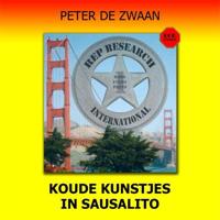 Koude kunstjes in Sausalito - thumbnail
