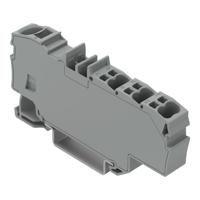 WAGO 2006-8031 Verdeler-serieklem Cage Clamp-aansluiting Grijs 12 stuk(s) - thumbnail