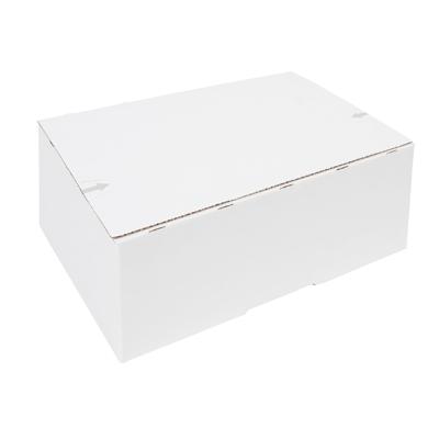 Postpakketbox iezzy 4 305x215x110mm wit | 5 stuks