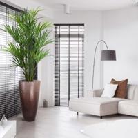 Kentia deluxe kunstpalm XL 190cm - thumbnail