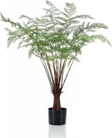 Fern plant 100 cm Emerald - Emerald - thumbnail