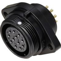 Weipu SP2113 / S 12 Ronde connector Bus, inbouw Totaal aantal polen: 12 Serie (ronde connectoren): SP21 1 stuk(s) - thumbnail
