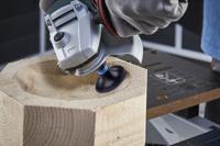 Wolfcraft Schuurelementen | Met indraaidoorn | Ø50mm | 8 stuks - 5608000 - thumbnail