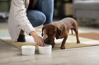 Canina Pharma Barfers Best 180g