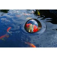 Velda Floating Fish Dome M 35 cm - thumbnail