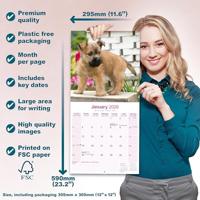 Cairn Terrier Kalender 2026 - thumbnail