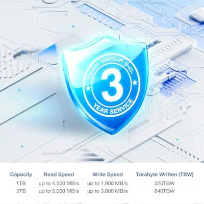 Monitor Team Group TM8FGM002T0C101