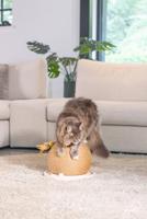 Designed by Lotte Krab+speelbol mila hout - thumbnail