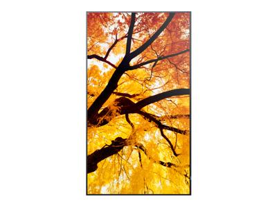 Videowall Monitor Sharp 60006052 Full HD 32"