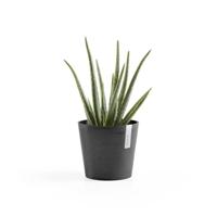 Ecopots Bloempot Amsterdam Mini Ø17cm - Donkergrijs - thumbnail
