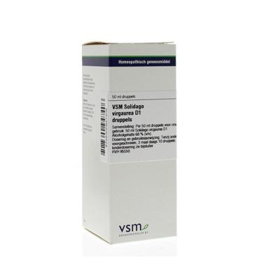 VSM Solidago virgaurea D1 50 Milliliter