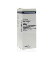 VSM Solidago virgaurea D1 50 Milliliter - thumbnail