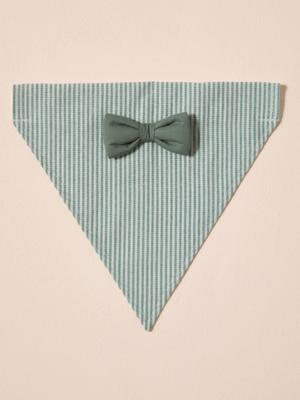 Gestreept katoenen bandanaslabbetje voor honden saliegroen