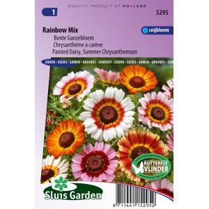 Chrysanthemum zaden Rainbow mix Margriet Chrysanthemum zaden Rainbow mix Margriet