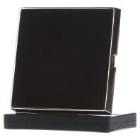 Gira classix wip wisselschakelaar messing afdekraam 0296604