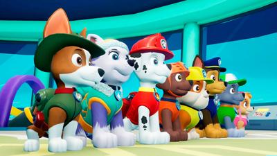Paw Patrol On a Roll Paw Patrol On a Roll