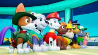 Paw Patrol On a Roll - thumbnail