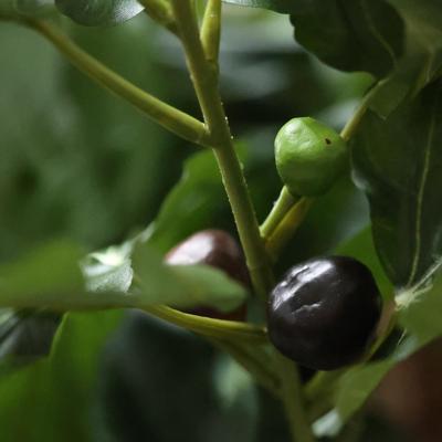 Vijgen Kunstboom Deluxe 250cm N