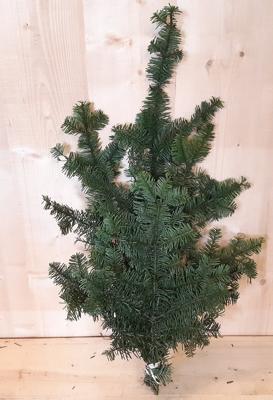 Kerstgroen Nobilis groen Warentuin Natuurlijk - Warentuin natuurlijk