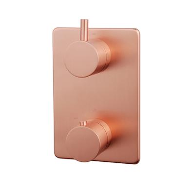 Caral afbouwdeel inbouwthermostaat 2 weg geborsteld koper