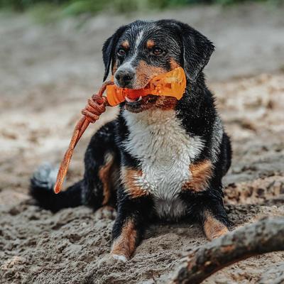 Hondenspeelgoed Aqua Avio Hondenspeelgoed Aqua Avio