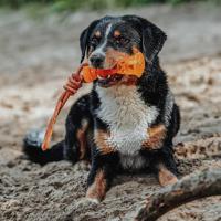 Hondenspeelgoed Aqua Avio - thumbnail