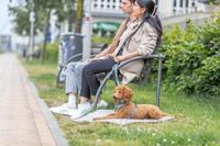 Verstelbare hondenriem Trixie CityStyle Zwart M/L - thumbnail