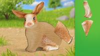 Schleich Puzzle - Farm World - thumbnail