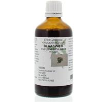 Natura Sanat Fucus vesiculosus / blaaswier tinctuur (100 ml) - thumbnail
