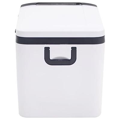 VidaXL Koelbox met handvat 18 l pp & pe zwart en wit
