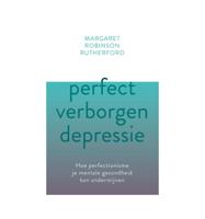 Perfect verborgen depressie (Paperback) - thumbnail