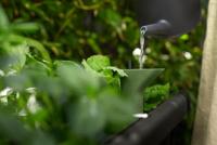 ELHO Noa Staande Moestuin - Zwart - L 79 x B 39 x H 94 cm - kweken en oogsten - 100% gerecycled - thumbnail