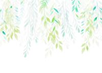 Noordwand Komar Colours Fotobehang Summer Leaves - X7-1096 - thumbnail