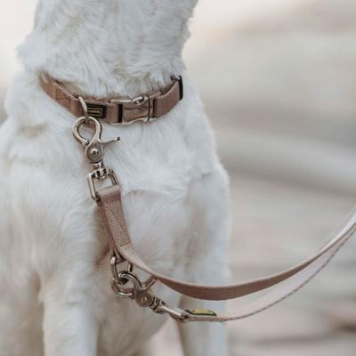 HUNTER Hondenhalsband Inari, beige, Maat: L HUNTER Hondenhalsband Inari, beige, Maat: L
