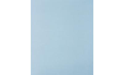 PFERD TOOLS 45015080 Handschuurpapier Korrelgrootte (num) 800 (l x b) 280 mm x 230 mm 50 stuk(s)