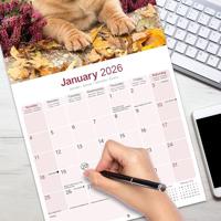 Bordeaux Dog Kalender 2026 - thumbnail