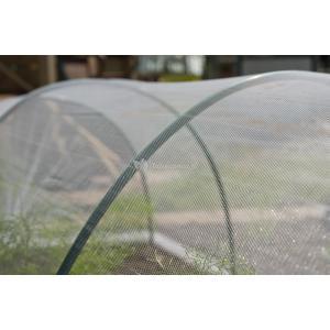 Nature anti-insectengaas insectenhor (wit/transparant, 2 x 5 m)