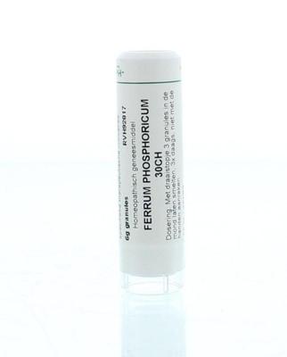 Homeoden Heel Ferrum phosphoricum 30CH 6 Gram