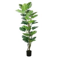 Monstera op stam 200 cm kunstplant Buitengewoon de Boet - Buitengewoon de boet - thumbnail